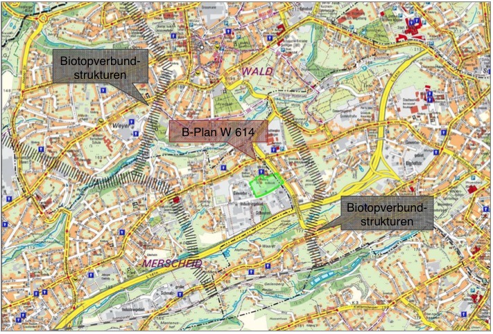 B Plan Soligen Biotpverbund