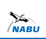 logo nabu